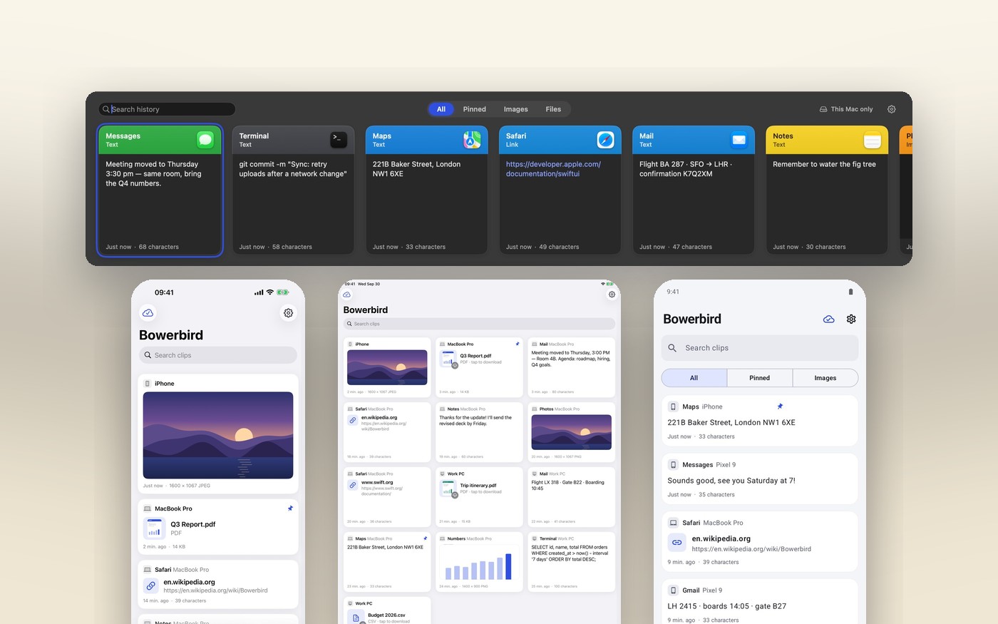 Bowerbird — screenshot